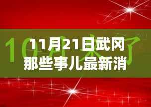 11月21日武岡那些事兒最新消息，武岡日常趣事，11月21日的溫暖瞬間