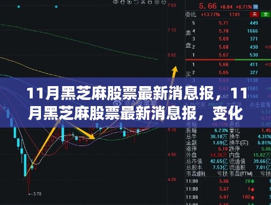 11月黑芝麻股票最新動態(tài)，變化中的學(xué)習(xí)之路，成就感的源泉，攜手共創(chuàng)成功未來