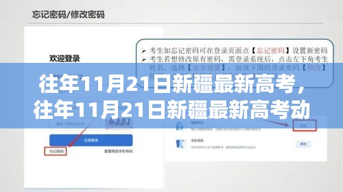 往年11月21日新疆最新高考動態解析及考試情況回顧
