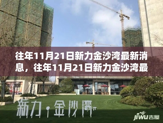 往年11月21日新力金沙灣最新消息綜述，最新動態一覽無余