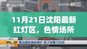 沈陽最新非法色情場所警示，紅燈區(qū)活動違反法律法規(guī)和社會道德規(guī)范