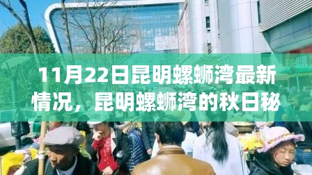 昆明螺螄灣秋日秘境探秘，11月22日最新情況與內心平靜的旅行記