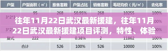 往年11月22日武漢援建項目深度解析，特性、體驗、競品對比及用戶群體分析