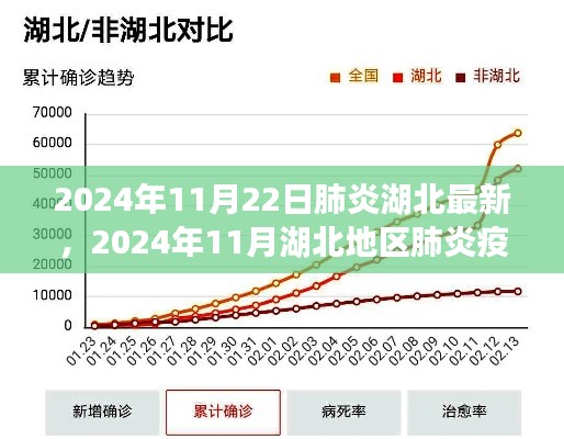 2024年11月湖北地區(qū)肺炎疫情最新進展概述