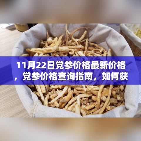 11月22日黨參價(jià)格最新價(jià)格，黨參價(jià)格查詢指南，如何獲取11月22日最新黨參價(jià)格