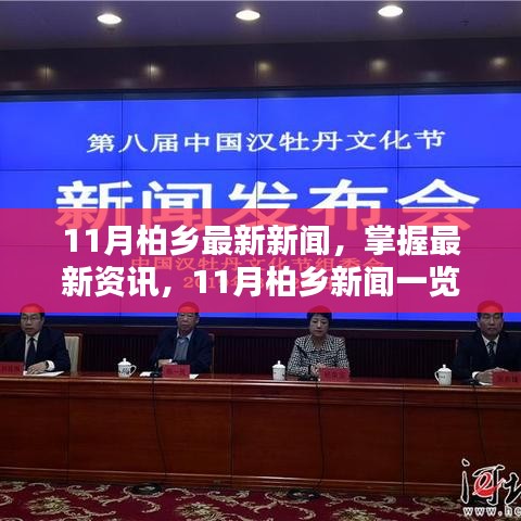 11月柏鄉新聞速遞，最新資訊一覽與理解新聞詳情的步驟指南
