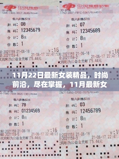11月最新女裝精品，時(shí)尚前沿的深度評(píng)測(cè)與介紹