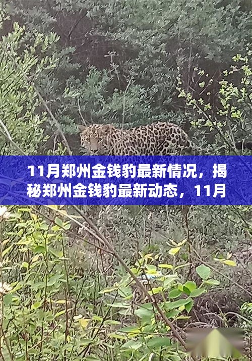 風度翩翩 第6頁