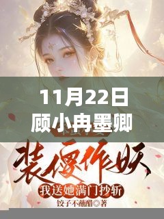顧小冉與墨卿的奇妙相遇揭秘，最新章節(jié)揭曉于11月22日