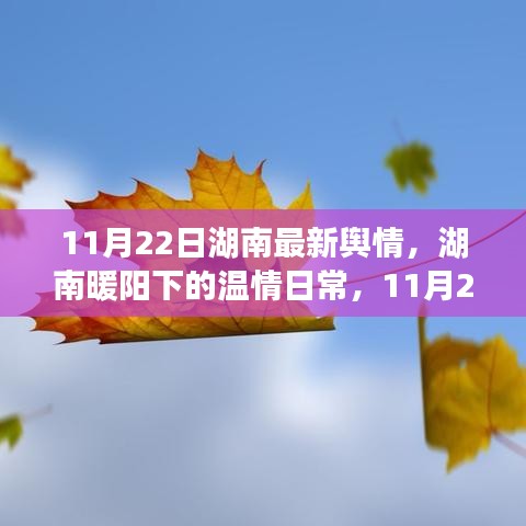 湖南溫情日常，城市輕語與友情漣漪（11月22日最新輿情）