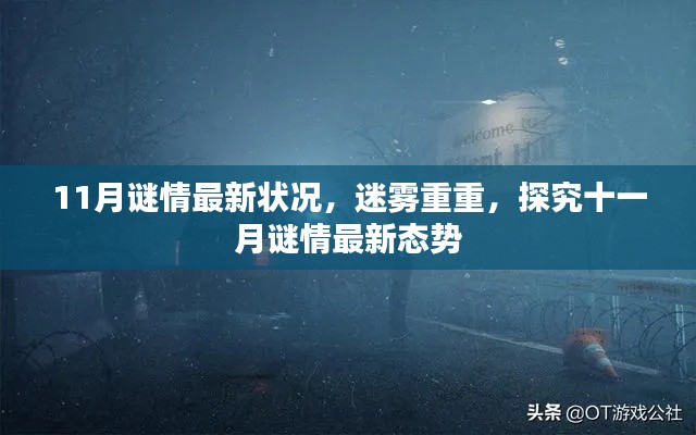 十一月謎情揭秘，最新動(dòng)態(tài)與迷霧重重的探究