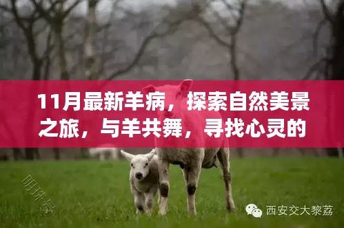 探索羊病新動態，與自然共舞的心靈之旅