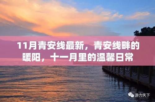 青安線畔的暖陽，十一月溫馨日常