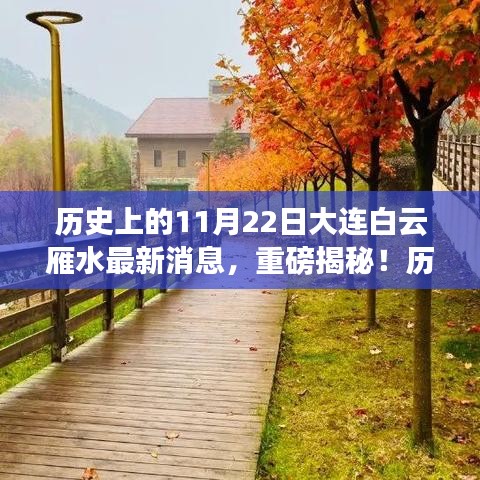 揭秘歷史上的11月22日大連白云雁水最新動(dòng)態(tài)與消息重磅