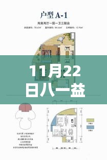 八一益園最新動態揭秘，11月22日獨家消息，小紅書帶你探索最新消息