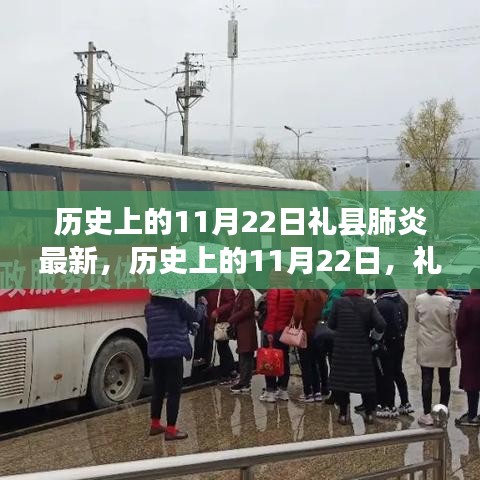 歷史上的11月22日，禮縣肺炎最新篇章報(bào)道