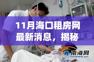 海口租房市場最新動態揭秘，11月租房網消息全面解讀