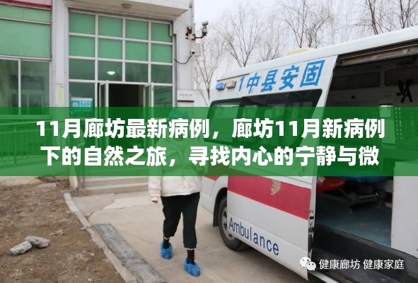 廊坊11月新病例下的自然之旅，探尋內(nèi)心寧靜與微笑之旅