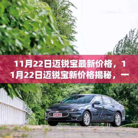 11月22日邁銳寶新價格揭秘，自然美景下的心靈之旅