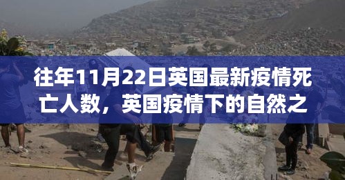 英國疫情下的自然之旅，探尋內心寧靜與重生與最新疫情死亡人數分析