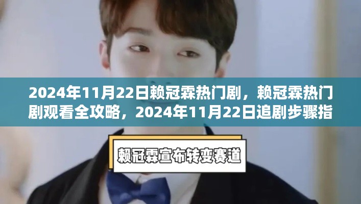 賴冠霖熱門劇全攻略，2024年11月22日追劇步驟指南