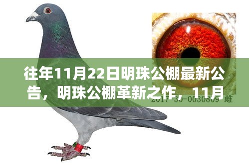 明珠公棚革新之作揭秘，高科技公棚新紀元功能與超凡體驗發布新公告