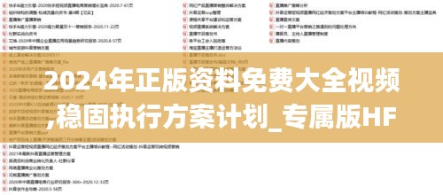 2024年正版資料免費大全視頻,穩固執行方案計劃_專屬版HFY2.75