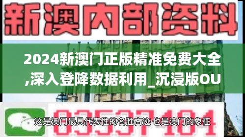 2024新澳門正版精準免費大全,深入登降數(shù)據(jù)利用_沉浸版OUL2.24