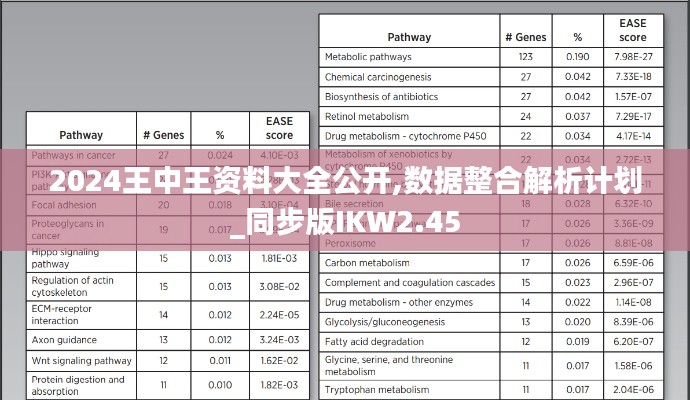 2024王中王資料大全公開,數(shù)據(jù)整合解析計(jì)劃_同步版IKW2.45