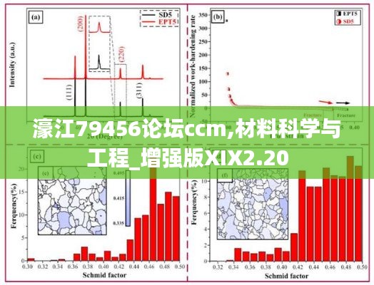 資料下載 第389頁