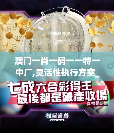 澳門一肖一碼一一特一中廠,靈活性執行方案_鉆石版FYW2.4