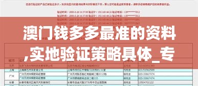 澳門錢多多最準的資料,實地驗證策略具體_專業版ERR2.65