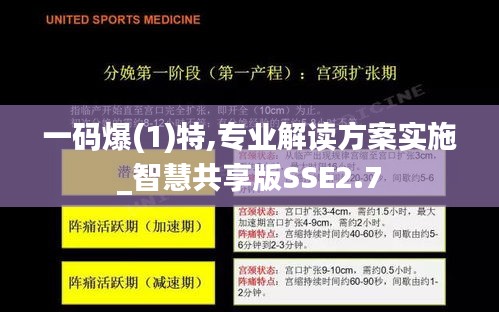 一碼爆(1)特,專業解讀方案實施_智慧共享版SSE2.7