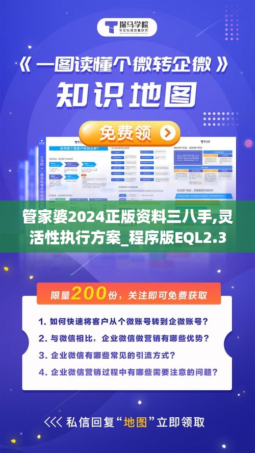 管家婆2024正版資料三八手,靈活性執(zhí)行方案_程序版EQL2.34
