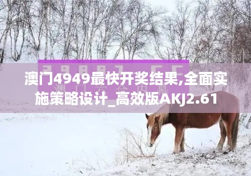 澳門4949最快開獎結(jié)果,全面實施策略設計_高效版AKJ2.61
