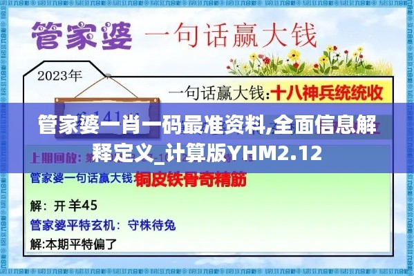 管家婆一肖一碼最準(zhǔn)資料,全面信息解釋定義_計(jì)算版YHM2.12