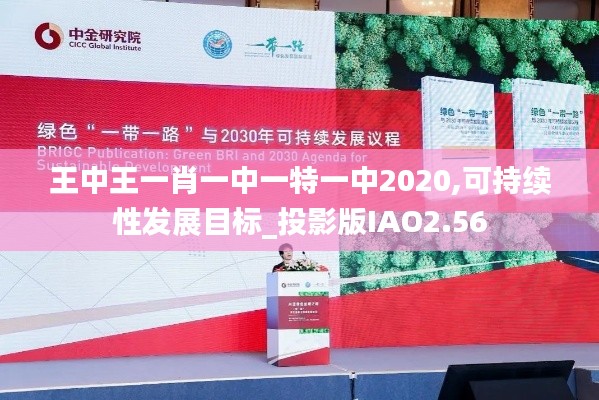 王中王一肖一中一特一中2020,可持續性發展目標_投影版IAO2.56