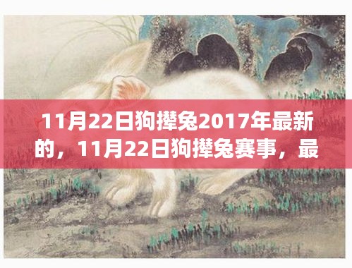 最新動態下的觀點碰撞與個人立場，揭秘11月22日狗攆兔賽事