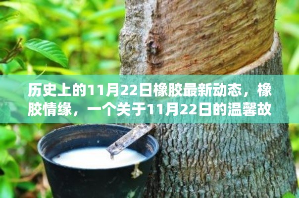 歷史上的橡膠情緣，揭秘橡膠最新動態與溫馨故事