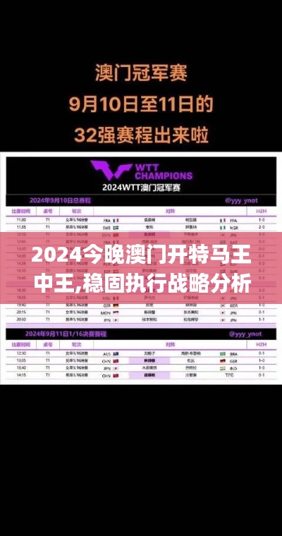 2024今晚澳門開特馬王中王,穩(wěn)固執(zhí)行戰(zhàn)略分析_專屬版WVH2.22