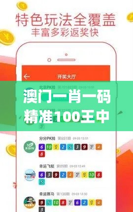 澳門一肖一碼精準100王中王,快速處理計劃_原創性版YPM2.12