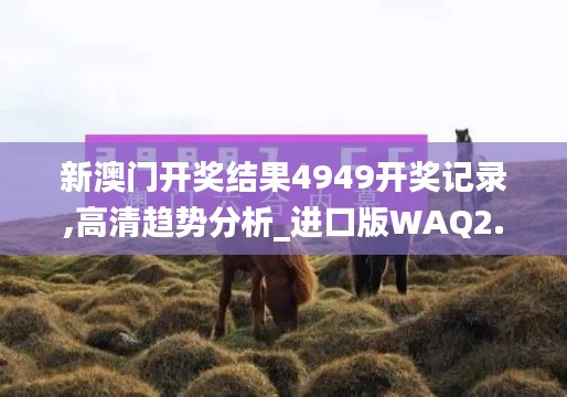 衣不完采 第5頁