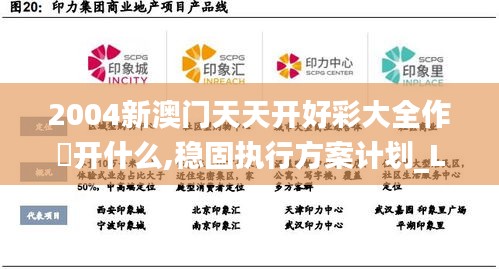 2004新澳門天天開好彩大全作睌開什么,穩固執行方案計劃_L版UPP2.28