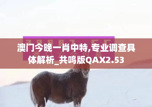 澳門今晚一肖中特,專業調查具體解析_共鳴版QAX2.53