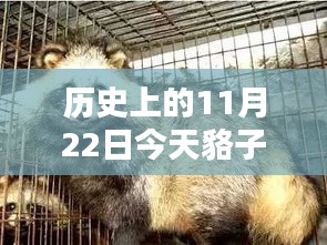 歷史上的今日與智能皮價監(jiān)測器，今日貉子皮最新價格融合科技與生活的革新