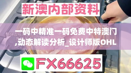 一碼中精準(zhǔn)一碼免費中特澳門,動態(tài)解讀分析_設(shè)計師版OHL2.11