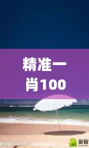 精準一肖100%免費,實地應(yīng)用實踐解讀_目擊版MQQ2.76