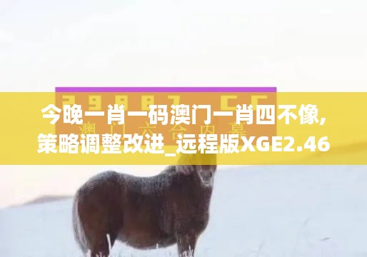 今晚一肖一碼澳門一肖四不像,策略調整改進_遠程版XGE2.46