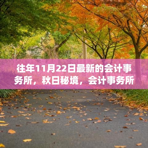 秋日秘境，會(huì)計(jì)事務(wù)所之旅與心靈的寧?kù)o探索