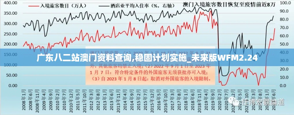 廣東八二站澳門資料查詢,穩(wěn)固計(jì)劃實(shí)施_未來版WFM2.24